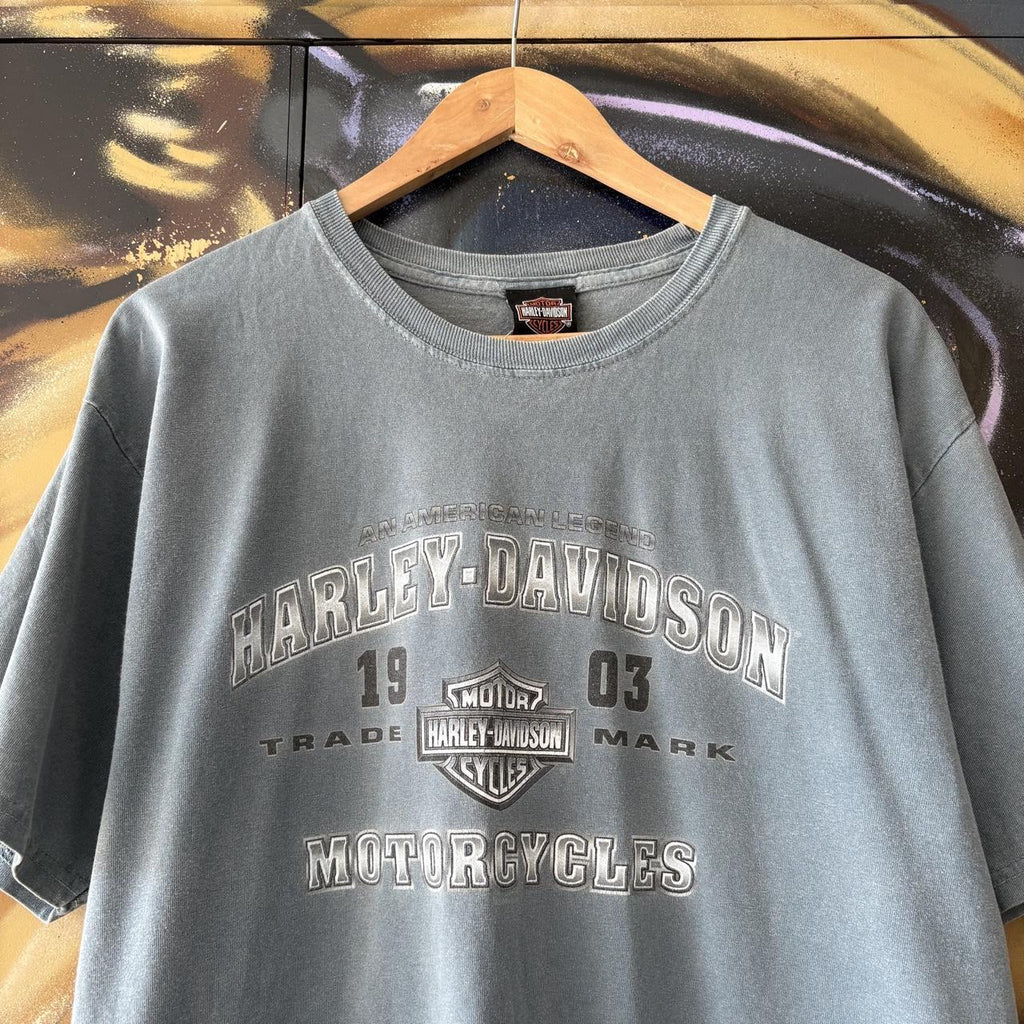 Vintage Harley Davidson T Shirt Mens Medium Blue Daytona Beach Florida Biker Grunge Graphic Print Top Tee T-shirt 90s Y2K 00s