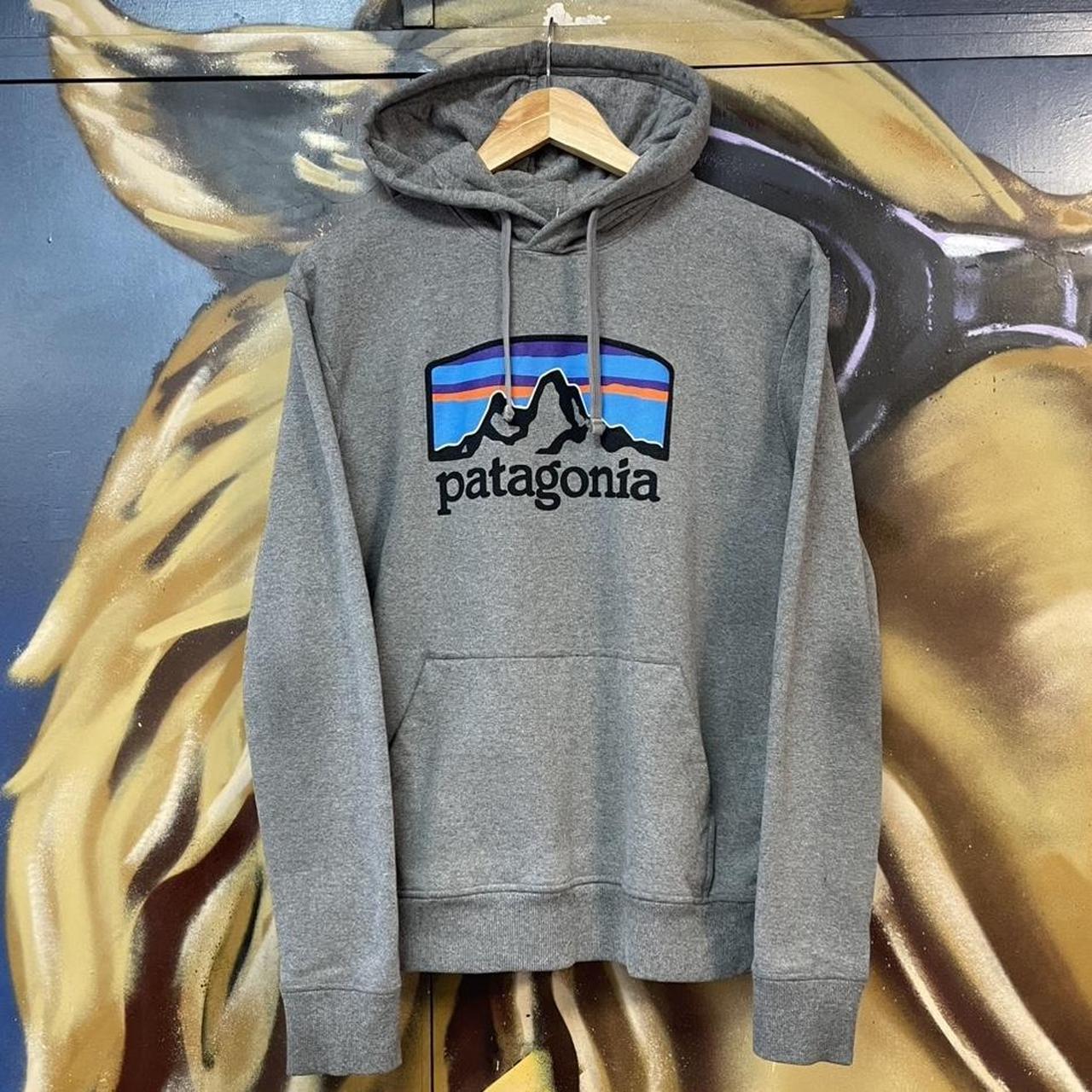 Patagonia Graphic Spellout Hoodie