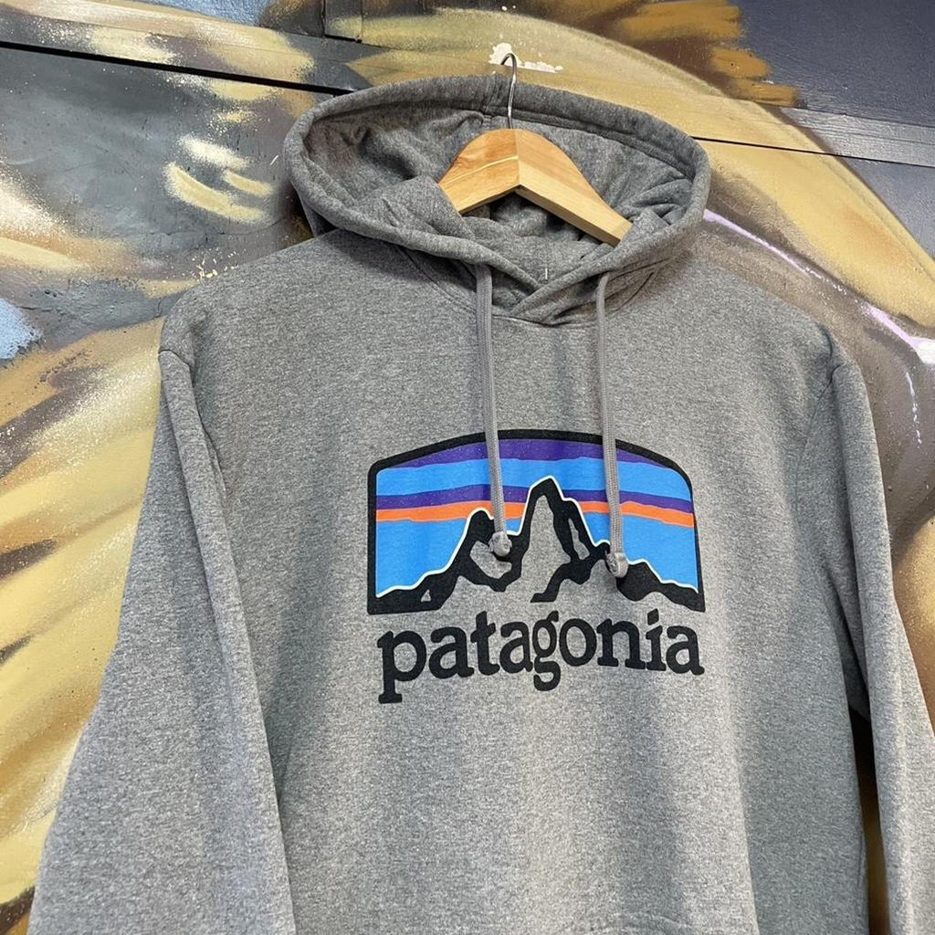 Patagonia Graphic Spellout Hoodie