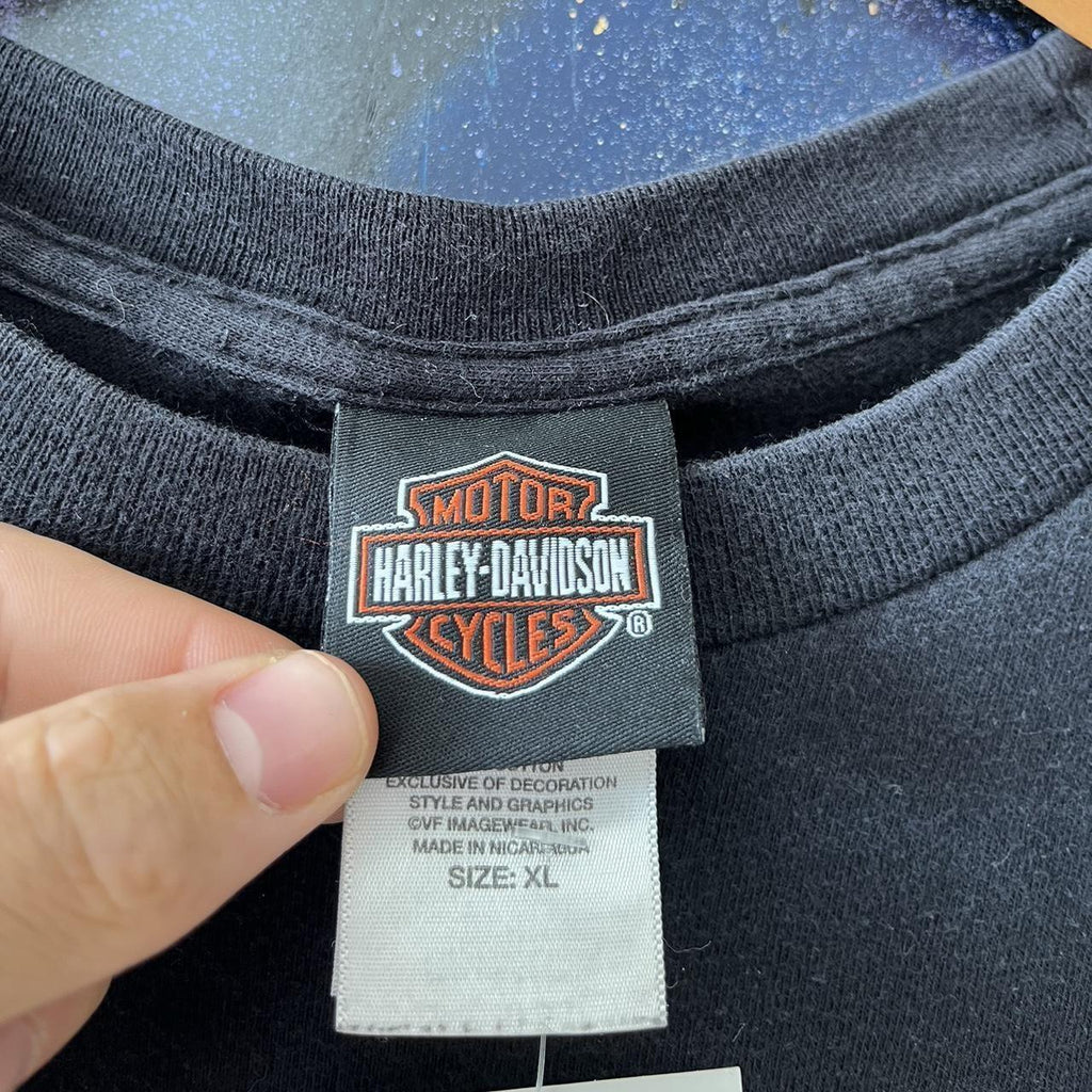 Harley Davidson Flame Hog Graphic Tee