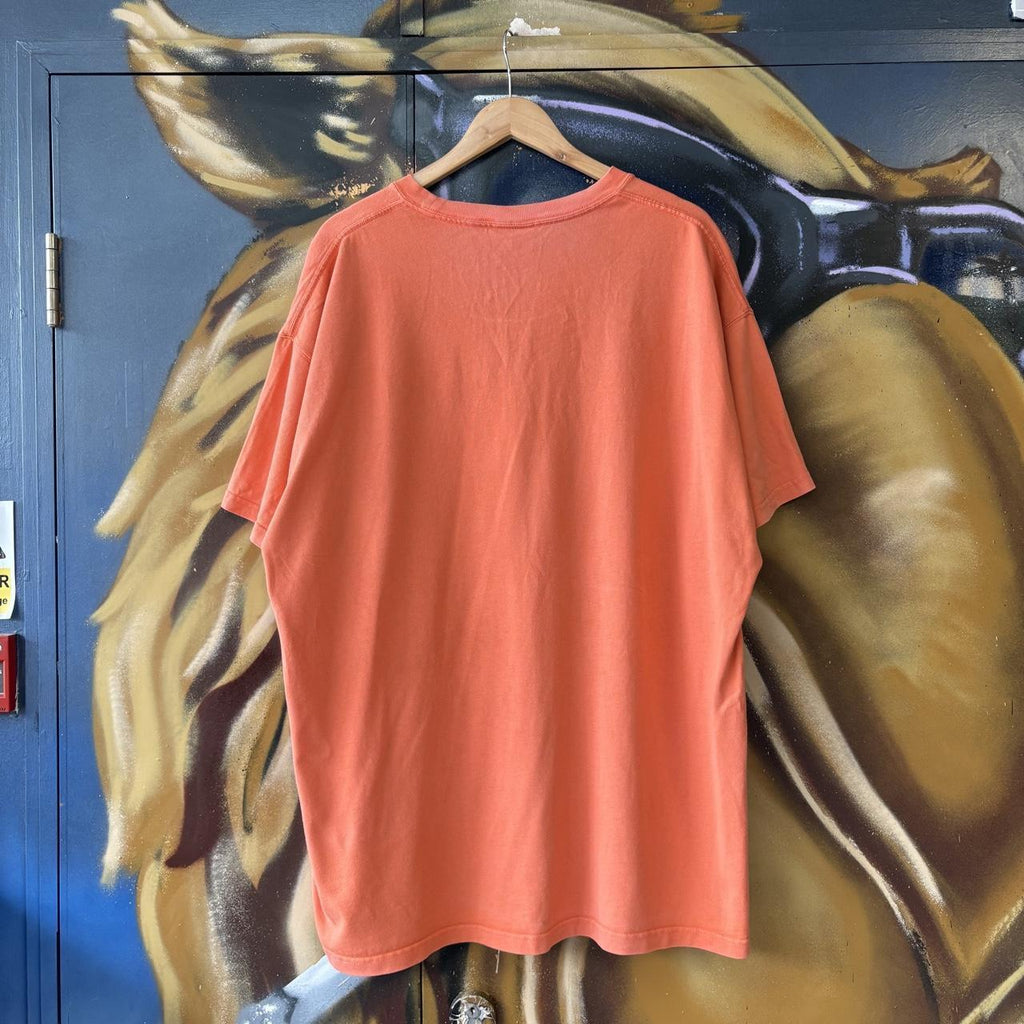 Nike ACG T shirt Mens XXL Orange Triangle Logo Streetwear Outdoors Hike Gorpcore Tee Top Y2K