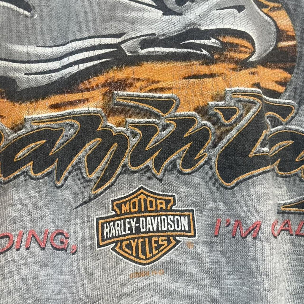 00s Harley Davidson Screaming Eagle Tee