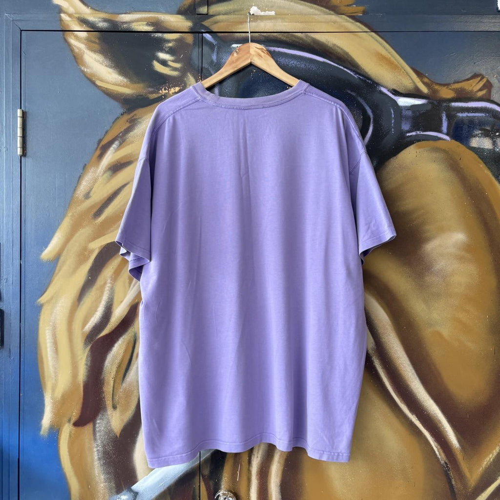 Nike ACG T shirt Men’s XXL Lavender Triangle Logo Streetwear Outdoors Hike Gorpcore Tee Top Y2K