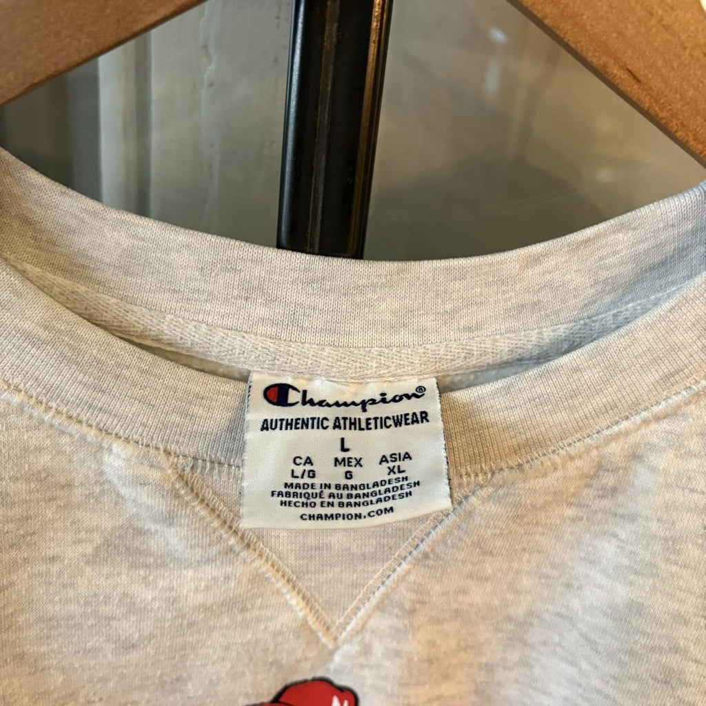 0325G84F - Vintage Retro Essential Light Grey University of Nebraska American Football Crewneck Jumper Sweatshirt with embroidered and print logo #huskers #sportswear #nebraska #y2k #champion