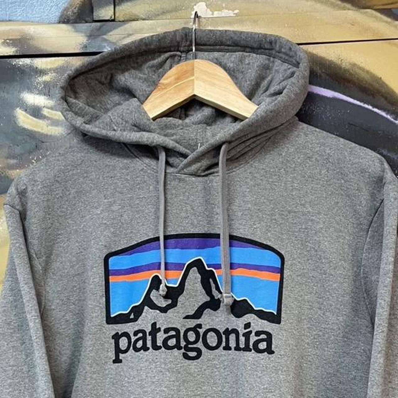 Patagonia Graphic Spellout Hoodie